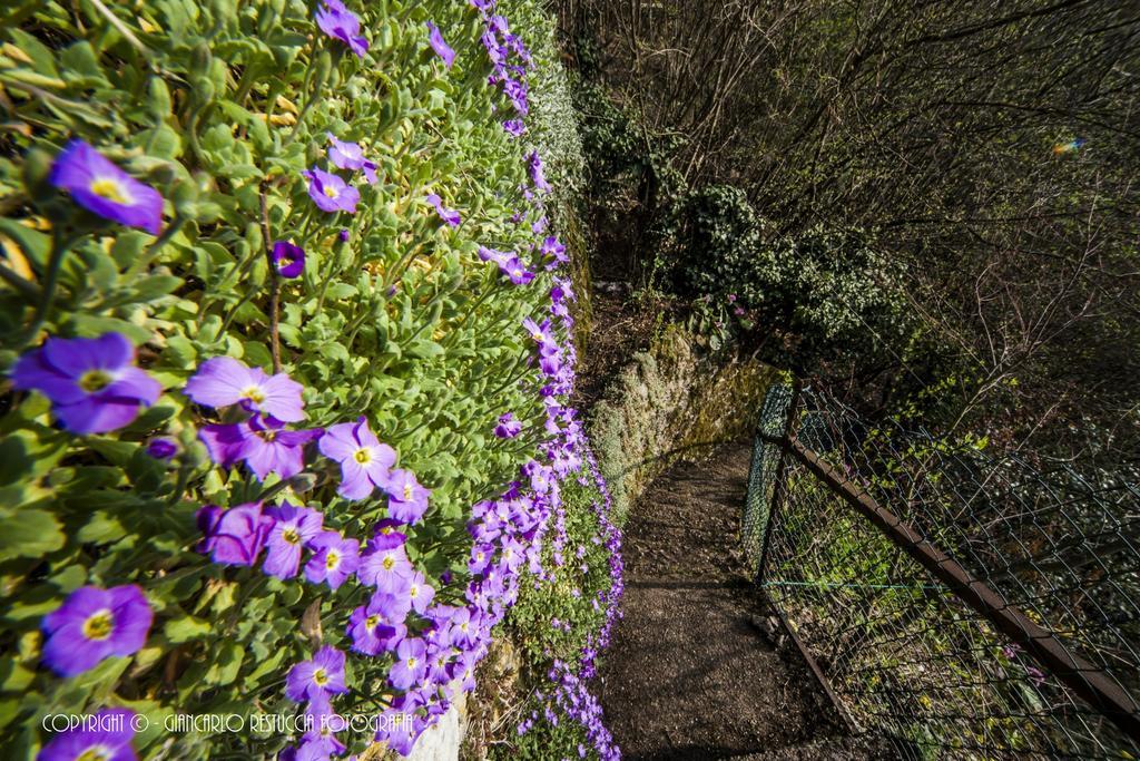 B&B Il Balcone Sul Lago Brunate Luaran gambar